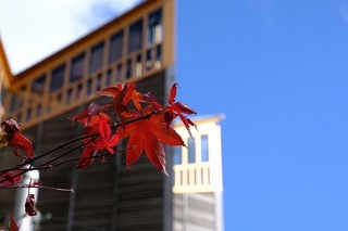 DSCF3503.jpg
