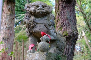 DSCF3504.jpg