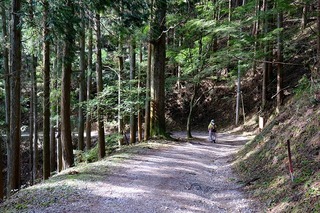 DSCF3506.jpg