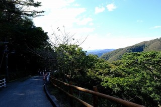 DSCF3512.jpg