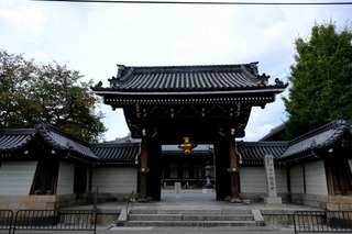 DSCF3530.jpg