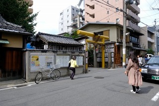 DSCF3546.jpg