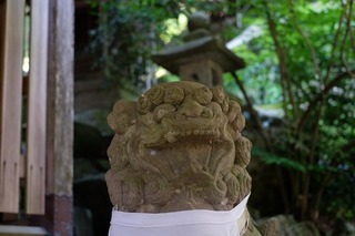 DSCF3552.jpg