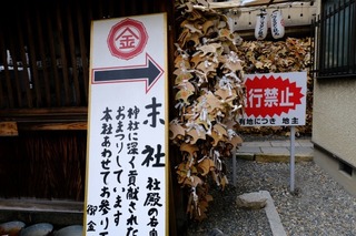 DSCF3553.jpg