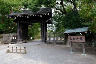 DSCF3559.jpg