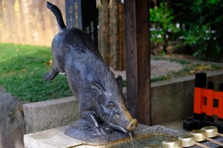 DSCF3576.jpg
