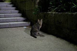 DSCF3588.jpg