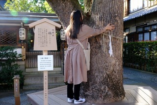 DSCF3595.jpg