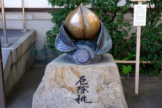 DSCF3596.jpg