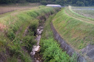DSCF3612.jpg