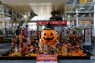 DSCF3674.jpg