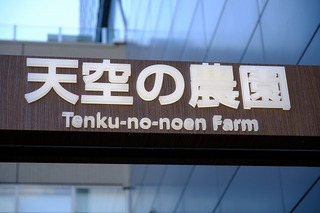 DSCF3704.jpg