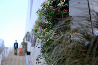 DSCF3707.jpg