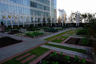DSCF3729.jpg