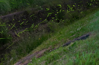 DSCF3751sss.jpg
