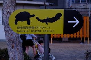 DSCF3952.jpg