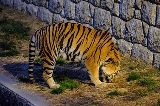 DSCF3964.jpg