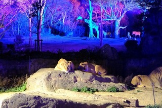 DSCF4027.jpg