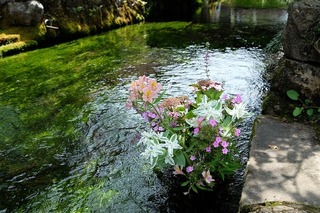 DSCF4196.jpg