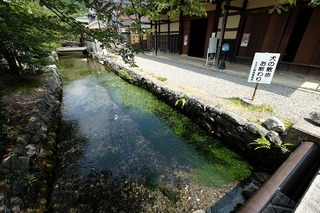 DSCF4199.jpg
