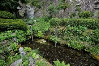 DSCF4209.jpg