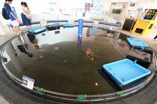 DSCF4315.jpg