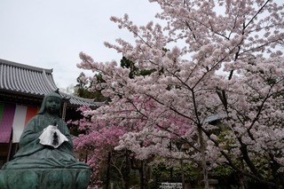 DSCF4526.jpg