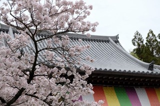 DSCF4532.jpg