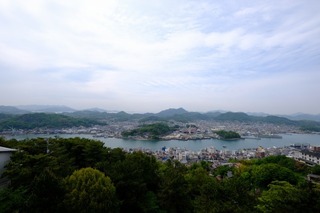 DSCF4584.jpg