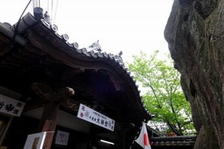 DSCF4593.jpg