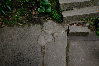 DSCF4604.jpg