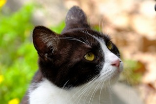 DSCF4620.jpg