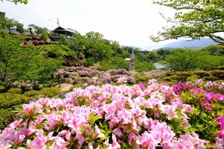 DSCF4670.jpg