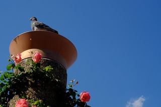 DSCF4734.jpg