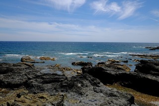 DSCF4833.jpg