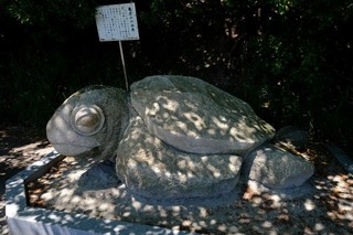 DSCF4878.jpg