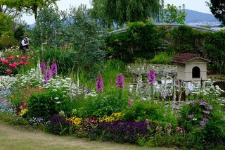 DSCF5130.jpg