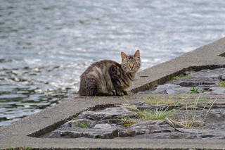 DSCF5136.jpg