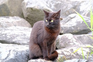 DSCF5139.jpg