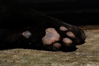 DSCF5187.jpg