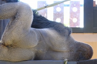 DSCF5211.jpg