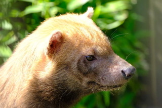 DSCF5297.JPG