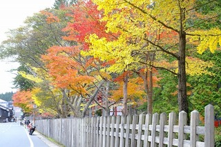 DSCF5402.jpg