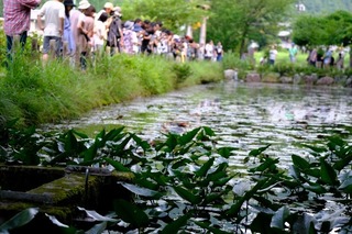 DSCF5425.jpg