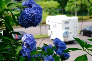DSCF5438.jpg
