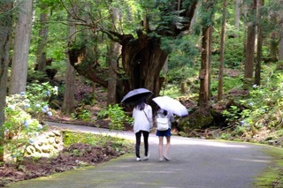 DSCF5447.jpg