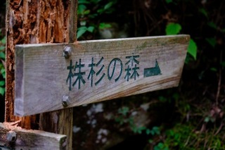DSCF5456.jpg