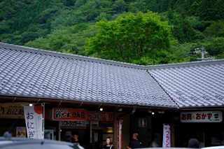 DSCF5481.jpg