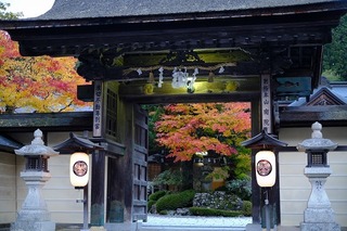 DSCF5519.jpg