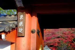 DSCF5751.jpg